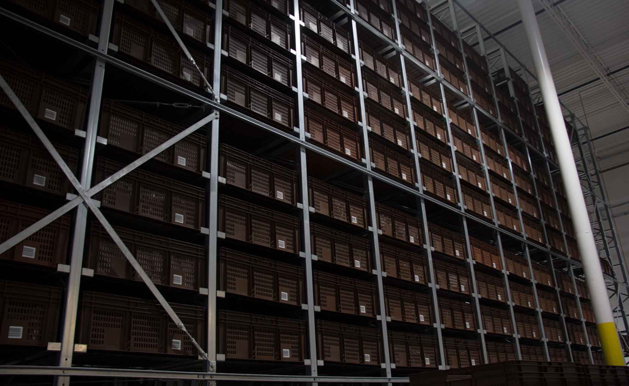Automated Storage and Retrieval Systems vs. the Amazon Effect